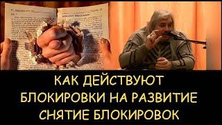  Н.Левашов. Как действуют блокировки на развитие. Снятие блокировок