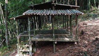 Dựng Căn nhà bằng tre  Tập 1 | Survival Camping | Sống Trong Rừng | make a bamboo house