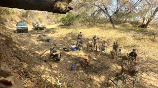 Rooibokkraal, Manne jag (hunting), July 2024, South Africa. #africa #buffalo #bushveld