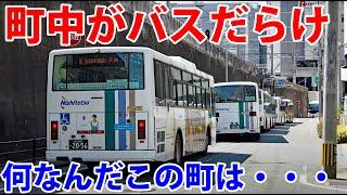 What Is This? A City Literally Filled With Buses! I'll Explain Whats Happening! | Japan