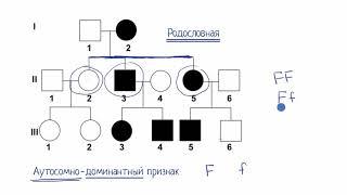 Родословная (видео 9) | Классическая генетика