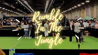 Rumble In The Jungle 5.0