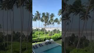 Sri Lanka tour guide | driver srilanka