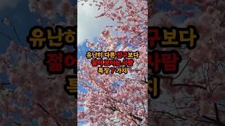 유난히 다른 친구보다 젊어 보이는 사람 특징 7가지 #현실조언 #명언 #삶의지혜 #인생지혜