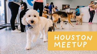 It's a Pawty! Join us for the official Paws For Love Houston Meetup + our RV Door Makeover!