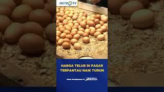 Jelang Iduladha, Harga Telur Terus Meroket #shorts