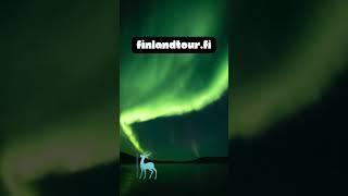 Best Travel agency for Finland tour | Visit Finland | Northern lights tour #visitfinland