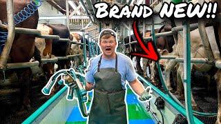 HOW TO MILK COWS!!... 150 COWS MILKED IN RAPID TIME!