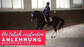 Besser reiten mit Christoph Ackermann | die falsch verstandene Anlehnung