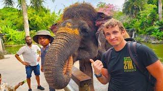 Bali Zoo Experience: Elephant Rides and Wildlife Encounters | Travel Vlog 