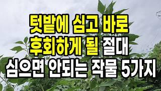 텃밭에 절대 심으면 안되는 심고 바로 후회하게 될 작물 5가지