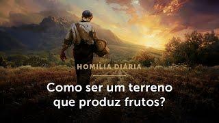 Homilia Diária | Como ser um terreno que produz frutos? (Quarta-feira da 16.ª Semana do Tempo Comum)