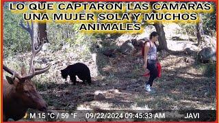 AVENTURA NÚMERO 545 LO QUE LAS CAMARAS CAPTARON VIDEO 5 UNA MUJER SOLA CAMINANDO EN EL BOSQUE...!!!!