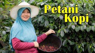 PETANI KOPI - Budi Cilok (Official Music Video Lyric)