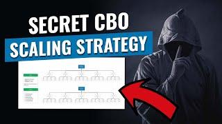 Facebook Ads 2024 | Our secret CBO scaling strategy