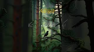 Al Quran  |#shorts #quran #HaiderCreative65