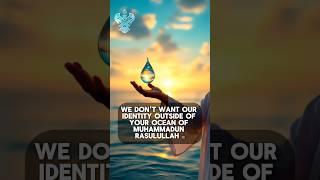 From a drop into the ocean of Muhammadun Rasulullah ﷺ