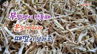 무말랭이 말리는 온도에 따라 때깔이 달라요.It depends on the temperature when making dried radish.