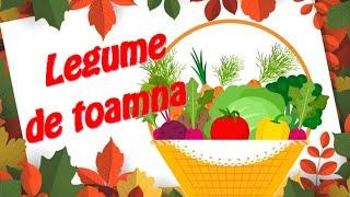 Legume de toamnă - prezentare, caracteristici  |  Coșul toamnei  |  Cunoașterea mediului