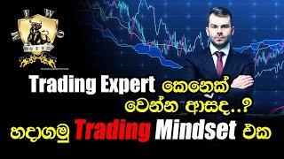 Forex/crypto Trading සඳහා මොලය නිවැරදිව සකසා ගනිමු.