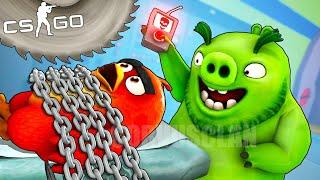 CSGO - CABREANDO AL PAJARRACO DE ANGRY BIRDS HAHAHA!! RAGEO ÉPICO !! - Hide and Seek