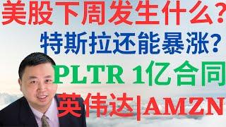 美股919|美股下周发生什么?特斯拉还能暴涨吗?PLTR重大催化剂,亚马逊秘密武器,英伟达要止盈吗? #pltr #tsla #nvda #amzn #美股分析 #drmikeinvest