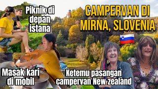 MASAK DI MOBIL & PIKNIK DI ALAM, KETEMU PASANGAN CAMPERVAN NEW ZEALAND #61