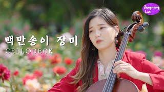 [4K] 백만송이 장미 | 첼로댁 CelloDeck [중랑라이브]