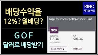 배당수익율 12%? 월배당? GOF 달러로 배당받기 - 파이어족 되는 법 7부