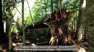 Ирина Лапина   "А Просто прошла любовь"