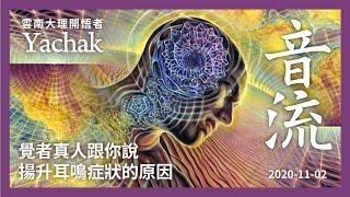 揚升耳鳴症狀：音流。雲南大理開悟者Yachak。基本上聽到這個音流，等於是在接收第五維度的能量振動。觀音法門稱海潮聲，所有宗教都提到這音流，這些聲音頻率不屬於肉耳聽力範圍，屬於宇宙天籟 | 開悟合一