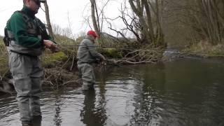 Flyfishing Germany, how to catch a trout!