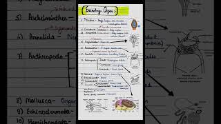 Animalia- excretory organs.... #notes #easylearning