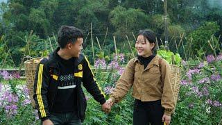Harvesting vegetables and tomatoes: Enjoy a delicious dish made from rice paper together