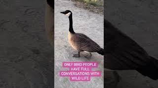 Only bird people have full conversation with wild birds #wildlife