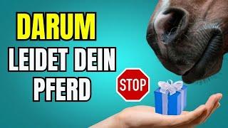 Unbewusste Fehler, die deinem Pferd schaden – Hufrehe und andere Folgen verhindern!