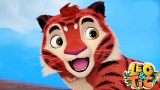 LEO and TIG   Happy Tiger Day — Episodes collection  Moolt Kids Toons Happy Bear