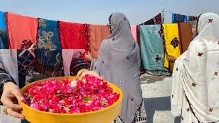 BANOR SAIQA || BALOCHI GUDA SHODI RASM #balochivlog