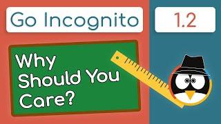 Does Privacy & Security Matter? YES! | Go Incognito 1.2