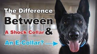 What is the Difference between a Shock Collar & E-Collar? The Truth About E Collar Dog Training (#9)