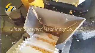 extruder machine for snack food