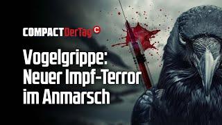 Vogelgrippe: Neuer Impf-Terror im Anmarsch!