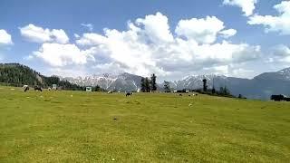 Galai Meadows | Allai valley | kpk