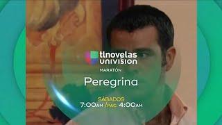 Maratón: Peregrina | Univision Tlnovelas