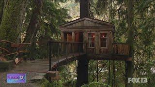 Checking out luxury treehouses in Issaquah, Washington | Studio 13 Live