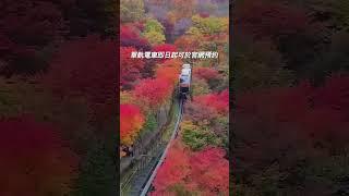 首爾最美楓葉林！「和談林」一票難求？跟著Creatrip不用搶