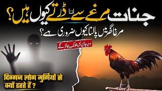 Jinnat Murghay Se Kyun Darty Hain? Farman-e-Nabvi ﷺ Ka Bayan | Islamic Teacher