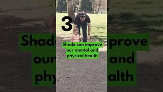 3 Reasons why shade is great