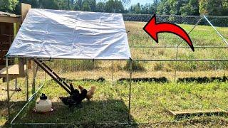 Perfect Chicken Coop for Any Weather! Easy DIY Chicken Coop!