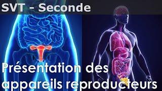 SVT - Seconde - Présentation des appareils reproducteurs